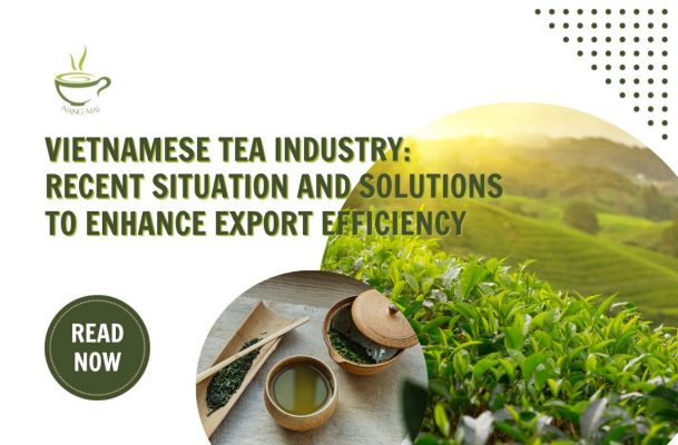 Vietnamese-Tea-Industry-Current-Situation-and-Solutions-to-Enhance-Export-Efficiency